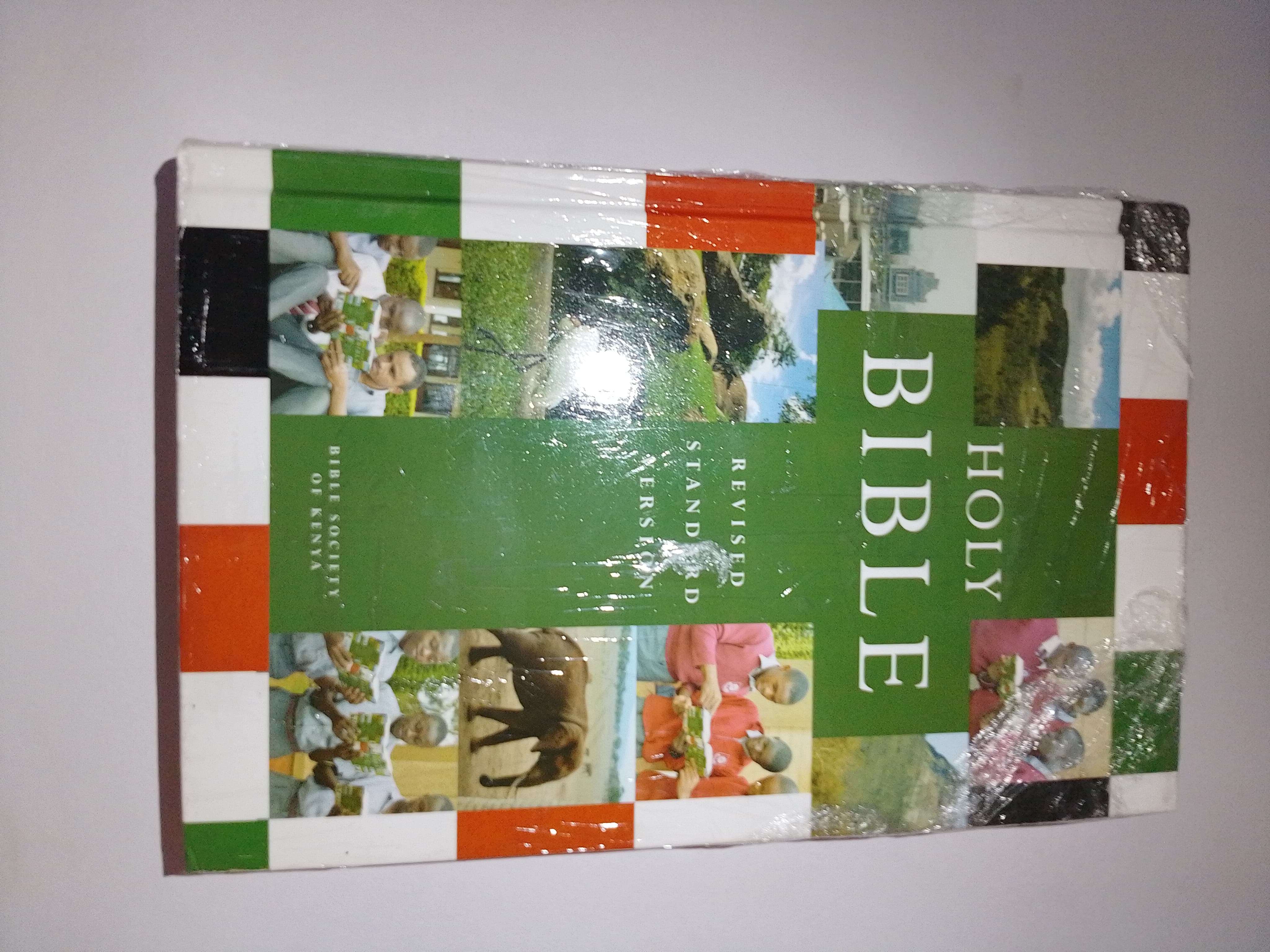 HOLY BIBLE